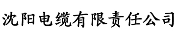 亚洲国产色一区二区三区电缆厂logo